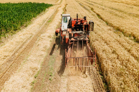 aerial view of a old Combine harvester goes on way to harvest wheat. Harvester harvests wheat in the...