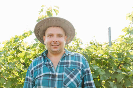 vineyard with vines. Caucasian winemaker man is happy. farmer with hat on a sunny summer dayの写真素材