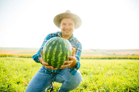 the portrait of a smiling farmer holds a watermelon in his hand. the man looking at the camera is wearing a hat and is in the agricultural fieldの写真素材