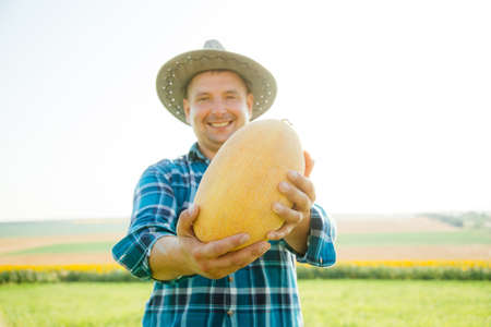 selective focus on the melon. smiling farmer man holding a melon in his hand is happy and looks at the camera. sunny summer dayの写真素材
