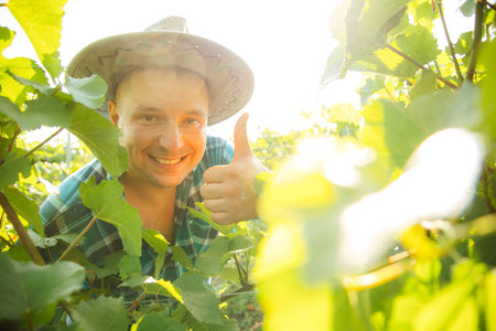 PORTRAIT WINNING FARMER MAN on a sunny summer day, looks at the camera and smiles among the vine...