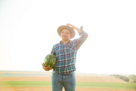 male farmer with watermelon in hand. The owner with the hat is in the field of melons on a sunny dayの写真素材