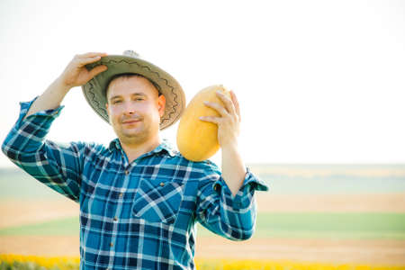 during the harvest the farmer with melon smiles and looks at the camera. fat young male farmer owner shows a melon.の写真素材