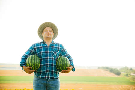 satisfied farmer with two watermelons in the field on a sunny summer day. man with hat on his head holds two watermelons in his handsの写真素材