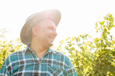 side view of portrait of a winemaker with a hat standing in vineyards. cheerful farmer in shirt with squares, at sunset.の写真素材