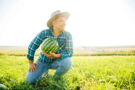 young farmer with hat is in the field of watermelons. against the background of the skyの写真素材