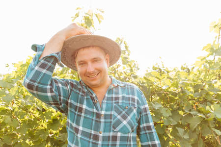 handsome caucasian farmer man looks at the camera and smiles handsome, winemaker is in the vineyard with vinesの写真素材