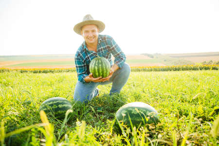 farmer smiles and looks at the camera, holding a big watermelon in his hand. male farmer with hat on field in camo on a sunny summer dayの写真素材