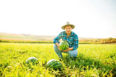 farmer holds a watermelon in his hand, looks at the camera the man is happy. Caucasian male with hat on his head.の写真素材