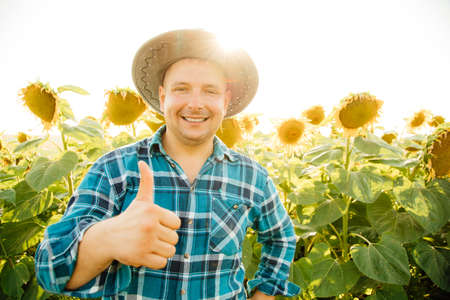 Cheerful farmer with hat shows thumb up and looking at camera. fat man is in the sunflower field enjoying the rich harvest.の写真素材