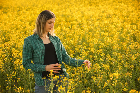 young woman farmer investigates rapeseed crop. side view of a female farmer on an agricultural field backgroundの写真素材