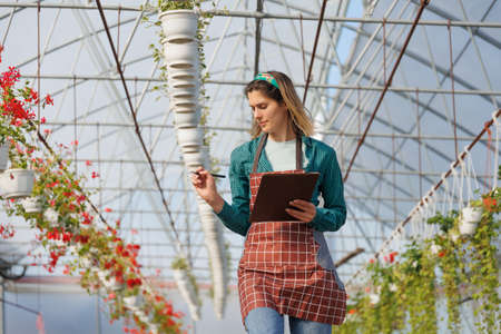 nice worker woman using notebook while checking growth of potted flowers and working in a greenhouse. female nursery owner with pot of flowers inside greenhouse, copy spaceの写真素材