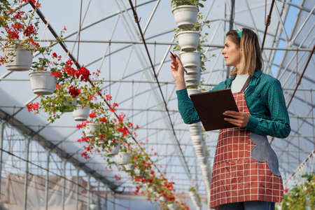 Adorable florist girl working in the greenhouse while holding the notebook. woman analyzes flowers, florist gardening specialist, copy spaceの写真素材