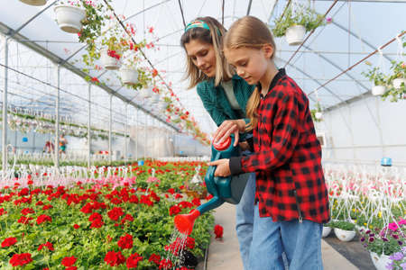 Mother and daughter watering plants in garden. Gardening, planting concept. lovely pretty woman and kid girl watering flowers in the greenhouseの写真素材