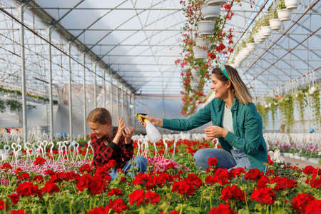 Mother wetting his daughter having fun while working in greenhouse. happy family of flower growers, happy kid and woman playing and having fun togetherの写真素材