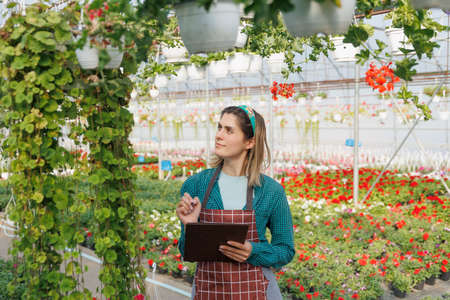 business woman an agronomist in the flower business is engaged in a hobby. The florist works with notebook. Entrepreneur notes information about plants. copy spaceの写真素材