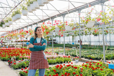 pretty american female with crossed arms wearing apron in greenhouse. Happy small business woman owner working at flower greenhouse standing surrounded by plants, copy spaceの写真素材