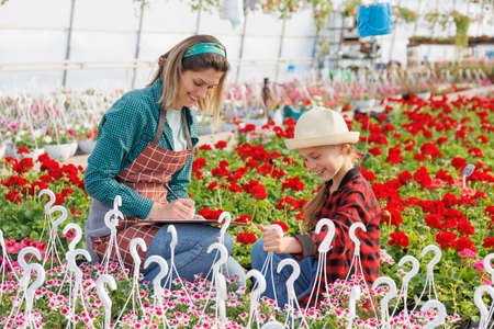 her mother and daughter examine the houseplants in the greenhouse. woman and kid study and make notes in notebook, about potted flowers. copy spaceの写真素材