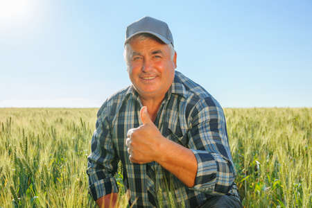 Cheerful elderly male farmer looking at camera and showing thumb up gesture while sitting in green agricultural plantation in countryside. Positive farmer with thumb up in countrysideの写真素材