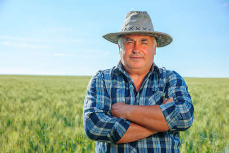 Mature male worker in checkered shirt and hat looking at camera while standing in field with green plants in countrysideの写真素材