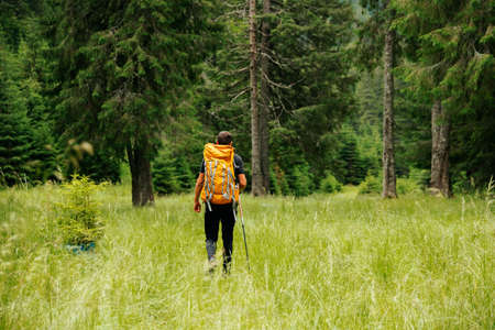 rear view of Man traveling with yellow Backpack hiking Travel Lifestyle success concept adventure active vacations outdoor. young Male hiking along trail in forest on morningの写真素材