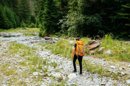 rear view of a tourist young man with a backpack travels through the forest near the river. young man equipped with tourist equipment hiking, lifestyle. active life mode, active restの写真素材