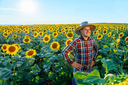 A happy young farmer stands in a field with sunflowers and looks into the distance. The man smiles brightly. The horizon line is visible. Hands on the hips and looking away. Agronomist and copy spaceの写真素材