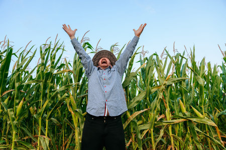 Elderly farmer agronomist raises his hands up in happiness in his field with corn, front view....