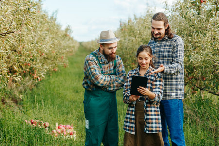 three farmers, two men and a woman with a digital tablet are in the apple orchard. farmers look at the tablet to learn about modern agricultureの写真素材