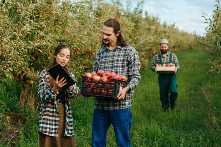 Front view farmers woman checks quality harvest by men hold box apples in hands. Youth girl carefully examines them entering data into electronic device. The concept of a family agricultural business.の写真素材