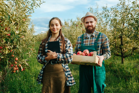 man and woman family of farmers, in the orchard with a crate full of red apples and digital tablet. both looking at the camera, beautiful peopleの写真素材
