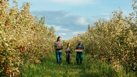 Two bearded mustachioed farmer field workers go and tell a woman about harvesting her tablet. Apple orchard, agricultural business, smiles on faces, success at work. Workers in the apple garden.の写真素材