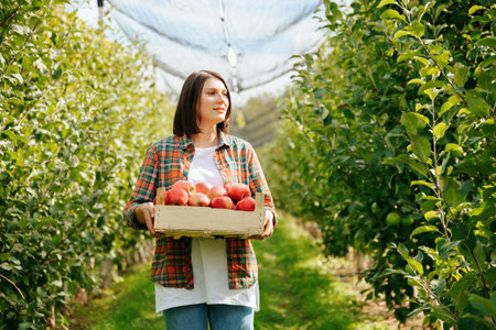 Front view looking away young farmer woman hold wooden box of ripe red apples staying in the garden. Lady orchard worker smile slightly looks happy. Harvest time, farming concept, apple trees around.の写真素材