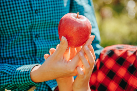 A pair of hands hold up an apple, the intricate details of its skin visible in the close-up image. The sun glints off the dew that clings to the fruit, and the viewer can almost taste the crisp fleshの写真素材