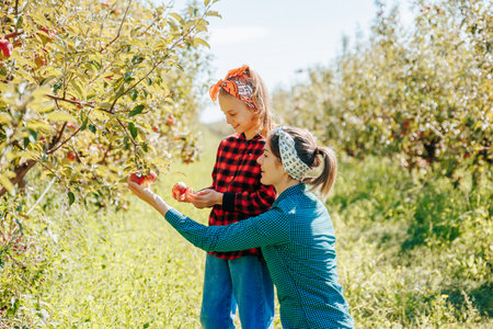 A family spending quality time together picking apples in their lush orchard, surrounded by the beauty of nature.の写真素材