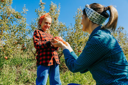 A young girl learning the ropes of apple picking from her mother on their picturesque family farm.の写真素材
