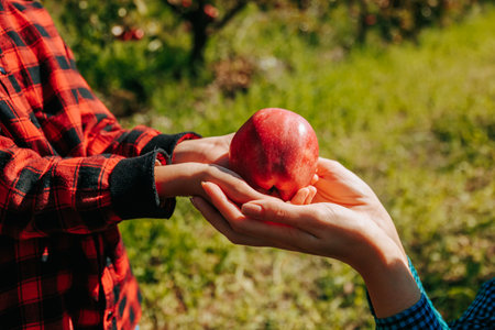 Close-up of two small hands holding a freshly picked apple in the outdoors. A cropped image of a childs hands reaching for a juicy apple in the midst of an apple picking activityの写真素材