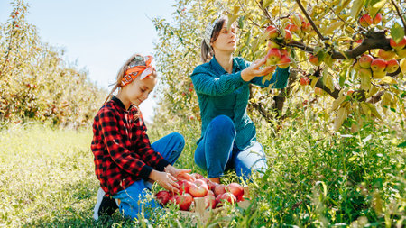 A little girls smile lighting up the orchard as she finds the perfect apple to pick with her mother.の写真素材