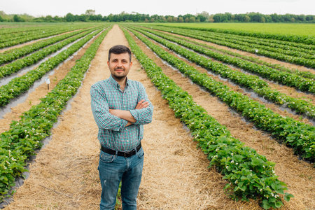 Young pretty farmer man looking at camera standing on farmland with crossed arms and strawberry...