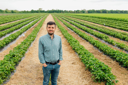 Portrait of a nice modern young farmer smiling with hands in your pocket on strawberry crops in background. beautiful and healthy people, farmers.の写真素材