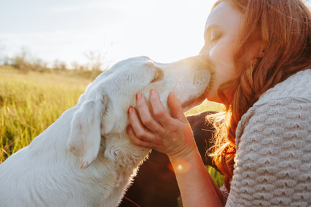 Captivating Canine Love Womans Playful Affection at Sunset. Woman and her loyal labrador creating memories in the great outdoorsの写真素材