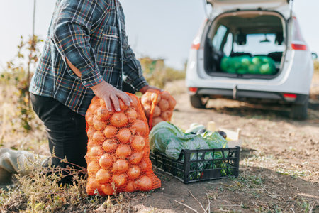 close up of a Nurturing the Land Old Farmer hands Stands Next to His Fresh Vegetable Crop, a Testament to Dedication and Industry. The Harvest Expert Elderly Farmer with a Lifetime of Agricultureの写真素材