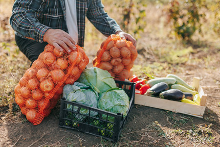 The Elder Harvest Senior Farmer and a Multitude of Vegetables, a Testament to a Lifetime of Toil. Rural Tranquility Elderly Farmer Surrounded by Fresh Vegetablesの写真素材