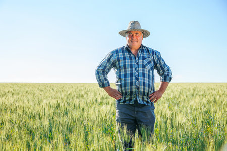 Cheerful senior male worker looking at camera while standing in field with wheat ears in agricultural plantation on summer day. Elderly farmer in green field, copy spaceの写真素材