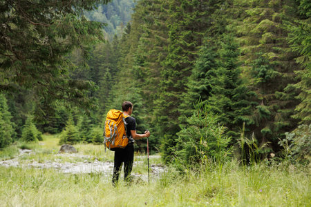 In a pursuit of freedom and trekking, a young traveler enjoys the scenic beauty of a green forest while hiking on a high-elevation trail, showcasing the joys of an active lifestyle.の写真素材