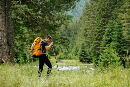 Capturing the essence of trekking and freedom, a young man with a rucksack traverses a picturesque trail in a lush high-elevation forest, embracing the beauty of nature.の写真素材