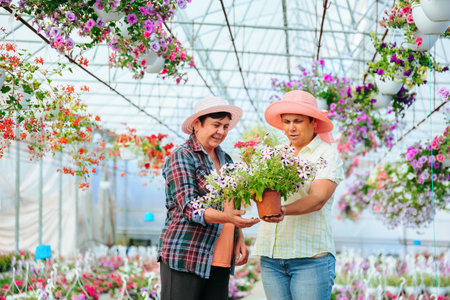 Front view looking at each other two elderly women in greenhouse talking, holding indoor flower. In their hands a flower in pot. There are many other different flowers in the greenhouse. Copy space.の写真素材