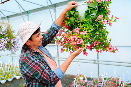 An elderly woman working at a greenhouse carefully examines the pots of flowers in the side view. The florist carefully and gently touches each flower so as not to miss anything. Copy space.の写真素材