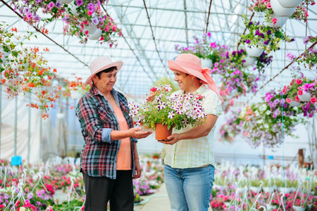 Front view looking at each other two elderly women in greenhouse talking, holding indoor flower. In their hands a flower in pot. There are many other different flowers in the greenhouse. Copy space.の写真素材
