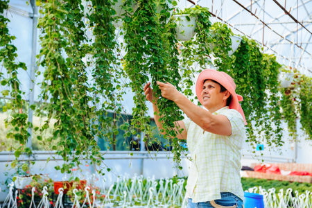 Front view of diligent greenhouse worker taking care of flowers, female florist looking at plants closely. The woman takes her job seriously. Smiling and looking at green plants. Copy space.の写真素材
